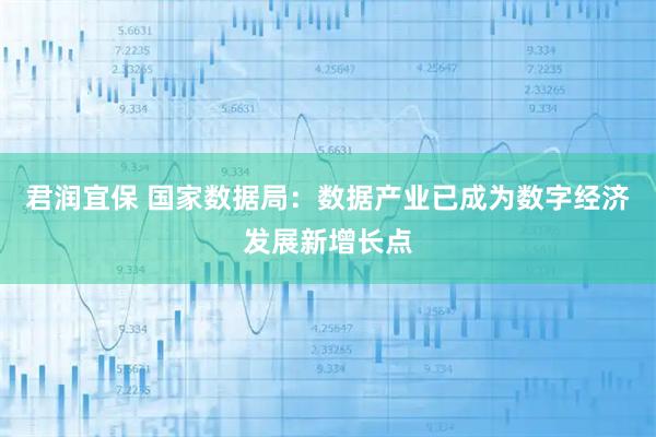 君润宜保 国家数据局：数据产业已成为数字经济发展新增长点