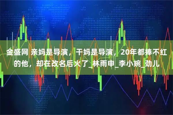 金盛网 亲妈是导演，干妈是导演，20年都捧不红的他，却在改名后火了_林雨申_李小婉_劲儿