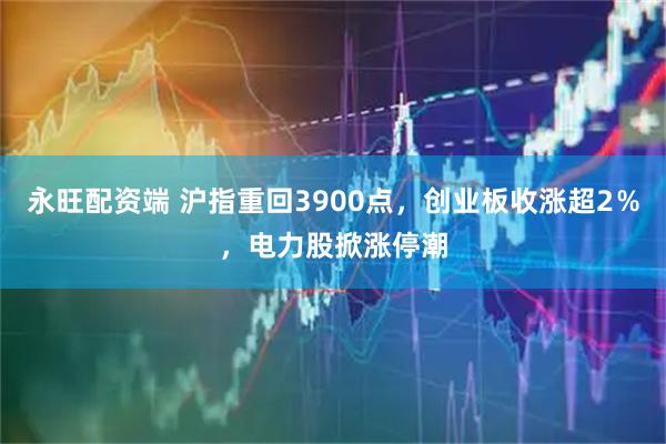 永旺配资端 沪指重回3900点，创业板收涨超2％，电力股掀涨停潮